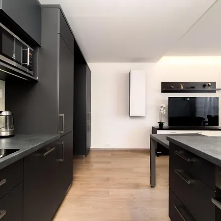 Apartment Exclusive New By Cz, Centre & Parking Ostrava