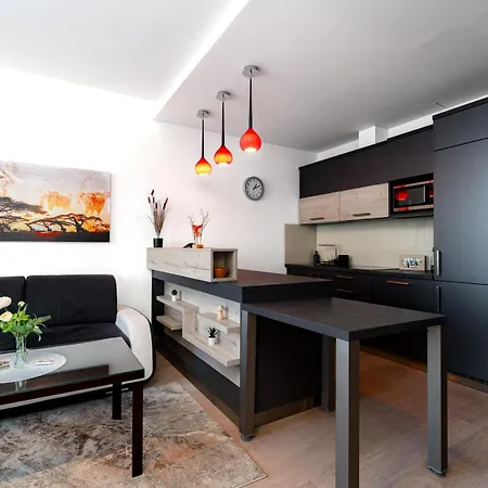 Apartment Exclusive New By Cz, Centre & Parking Ostrava