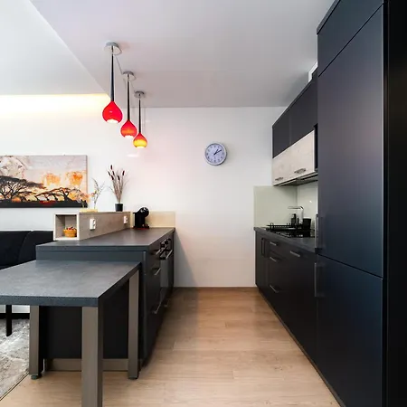 Apartment Exclusive New By Cz, Centre & Parking Ostrava